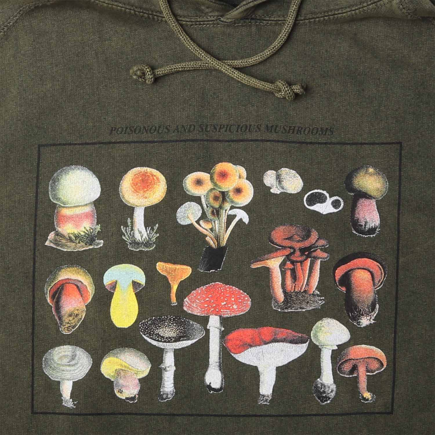 Altru Apparel's Mushroom species graphic screen printed on chest. Pigment dye hoodie processed for a vintage look and feel on a smoke green relaxed fit men's hoodie. Closeup photo of mushrooms graphics.