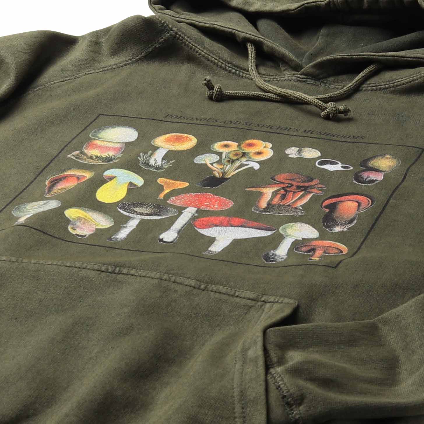 Altru Apparel's Mushroom species graphic screen printed on chest. Pigment dye hoodie processed for a vintage look and feel on a smoke green relaxed fit men's hoodie. Full front photo.