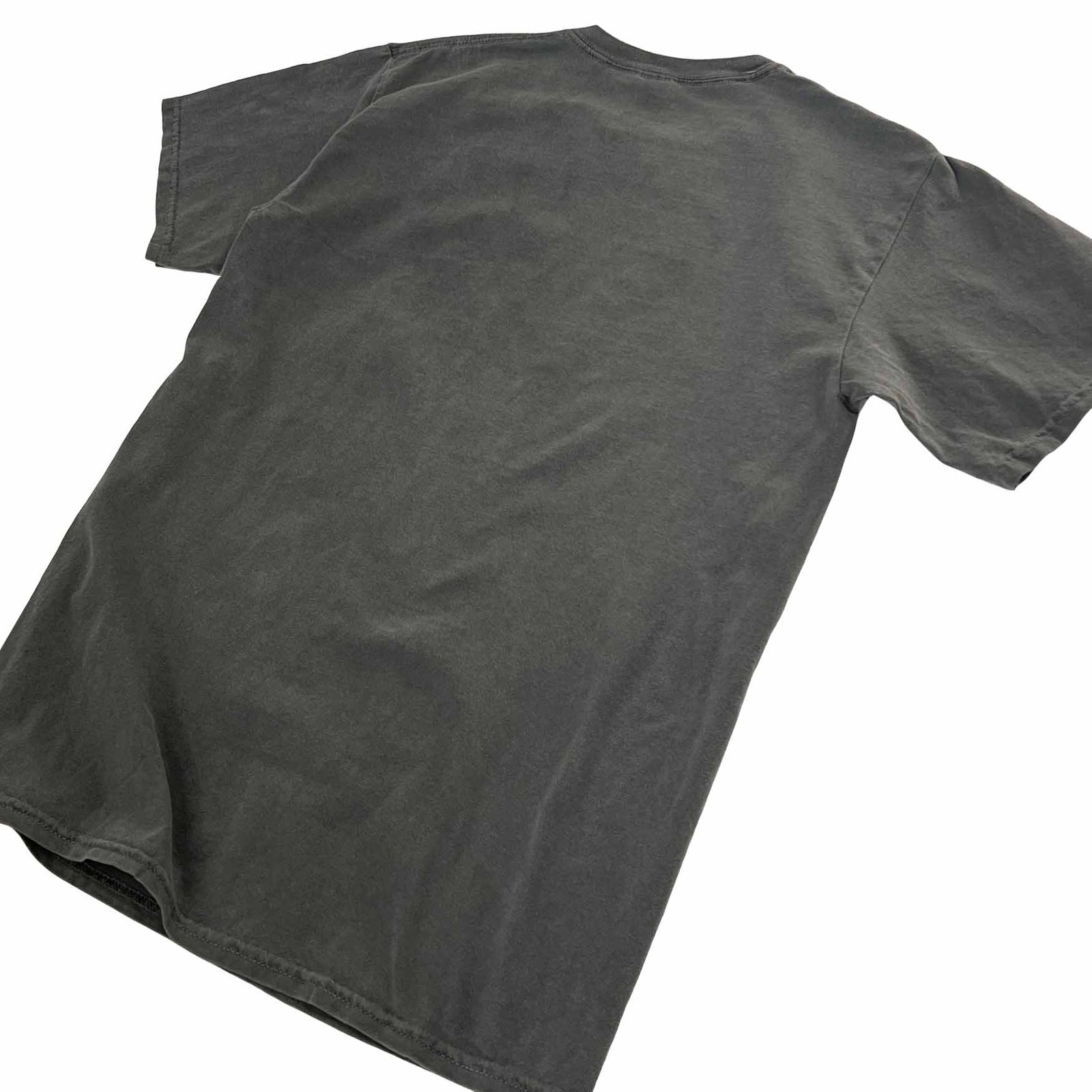Altru "Feel your feelings they are not wrong" t-shirt. Positive text printed on pigment dye vintage black. Back images 2