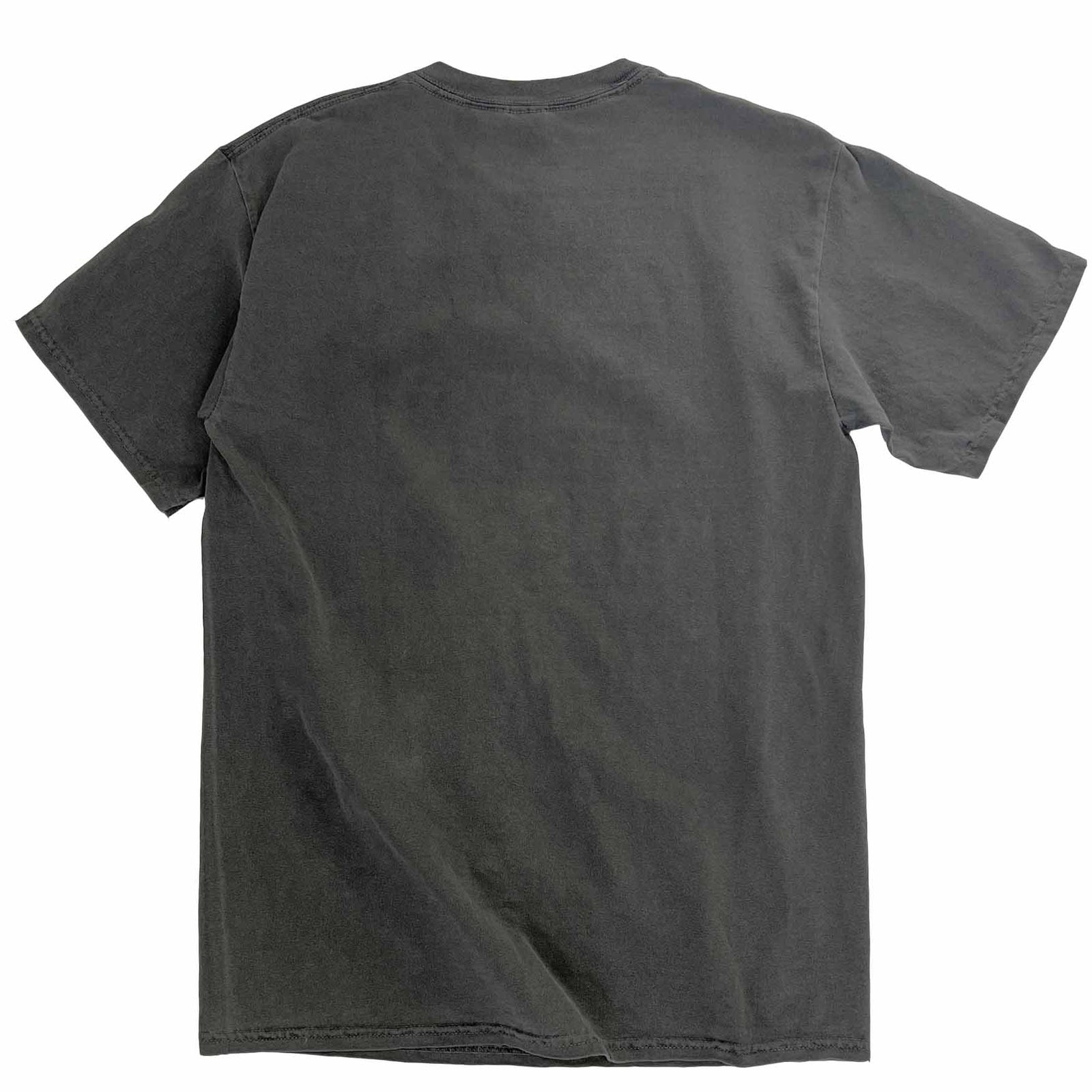 Altru "Feel your feelings they are not wrong" t-shirt. Positive text printed on pigment dye vintage black. Back images