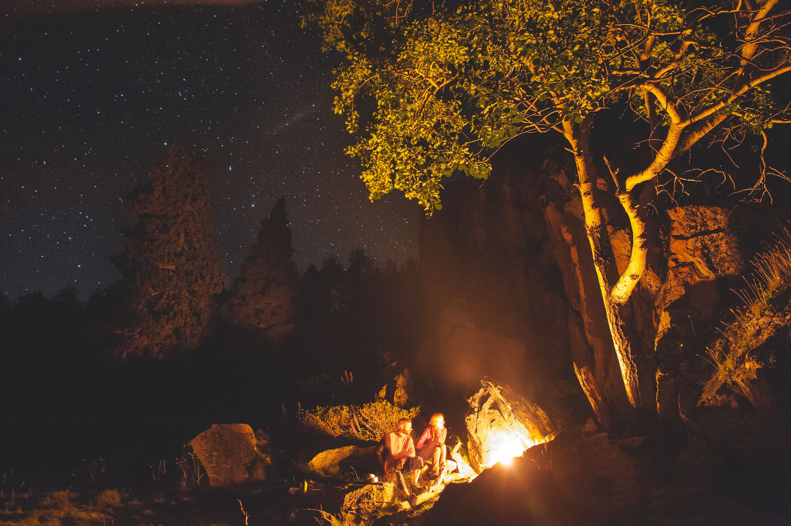 Yohan Terraza - Magnum Silentium