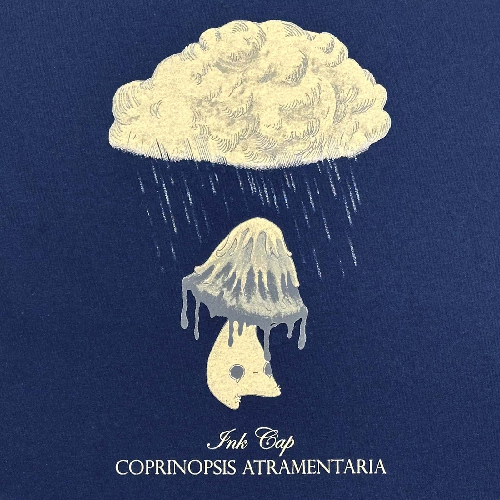 Altru Apparel Ink Cap (Coprinopsis Atramentaria) printed on Navy tee. Art 