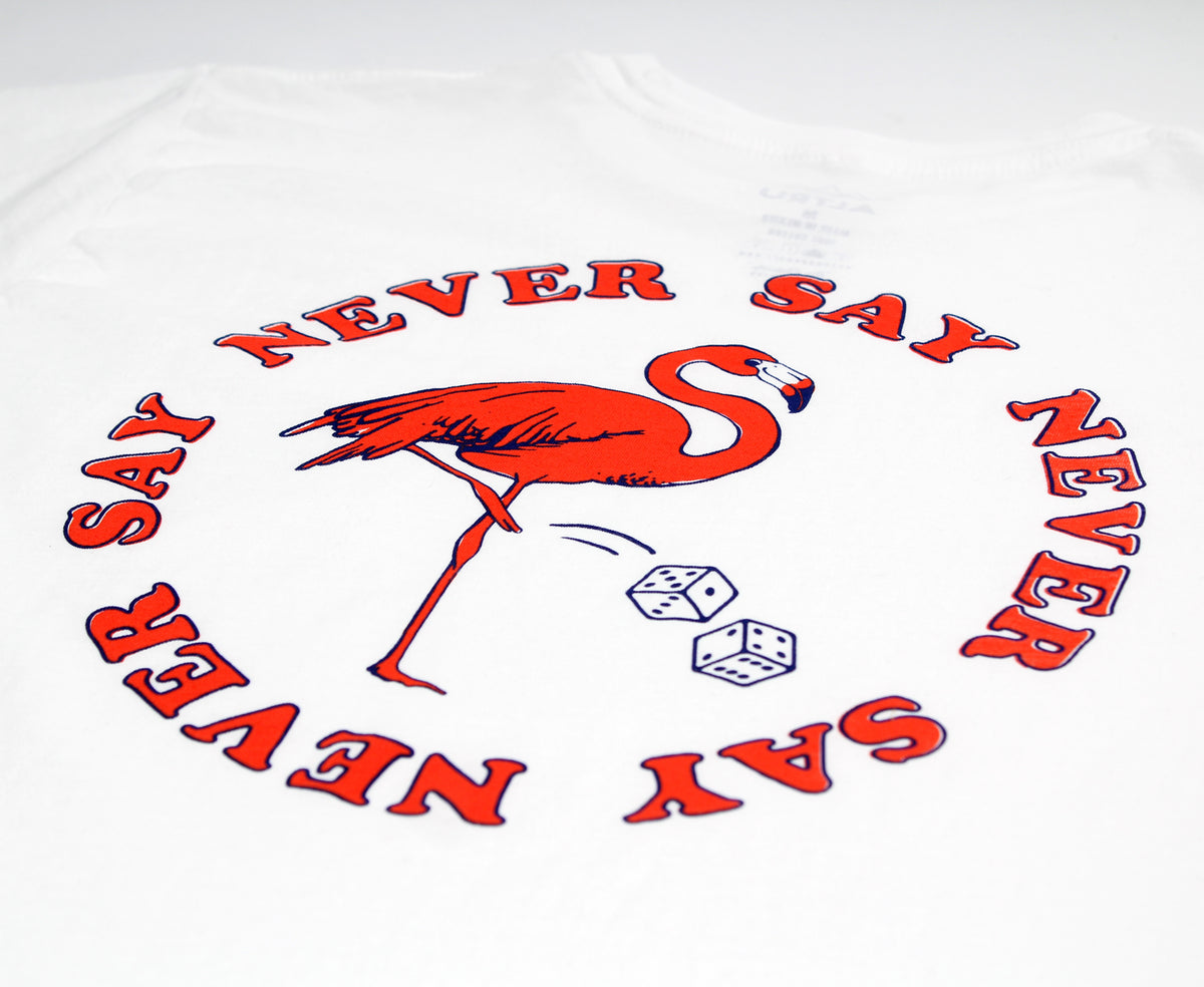 dice flamingo altru apparel pocket graphic tee close up