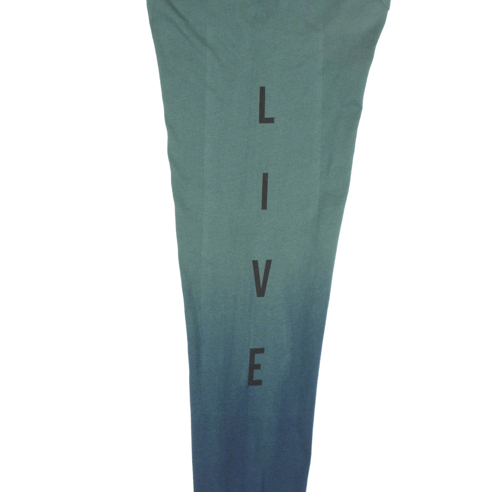 Bear on a Hike graphic tee right sleeve by Altru Apparel