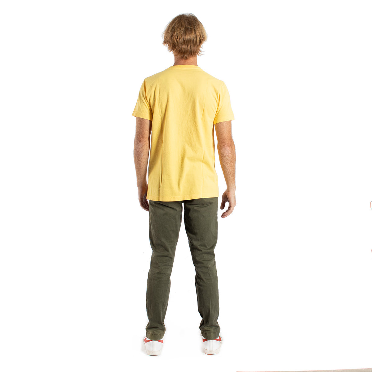 Party Animal Turtle tee