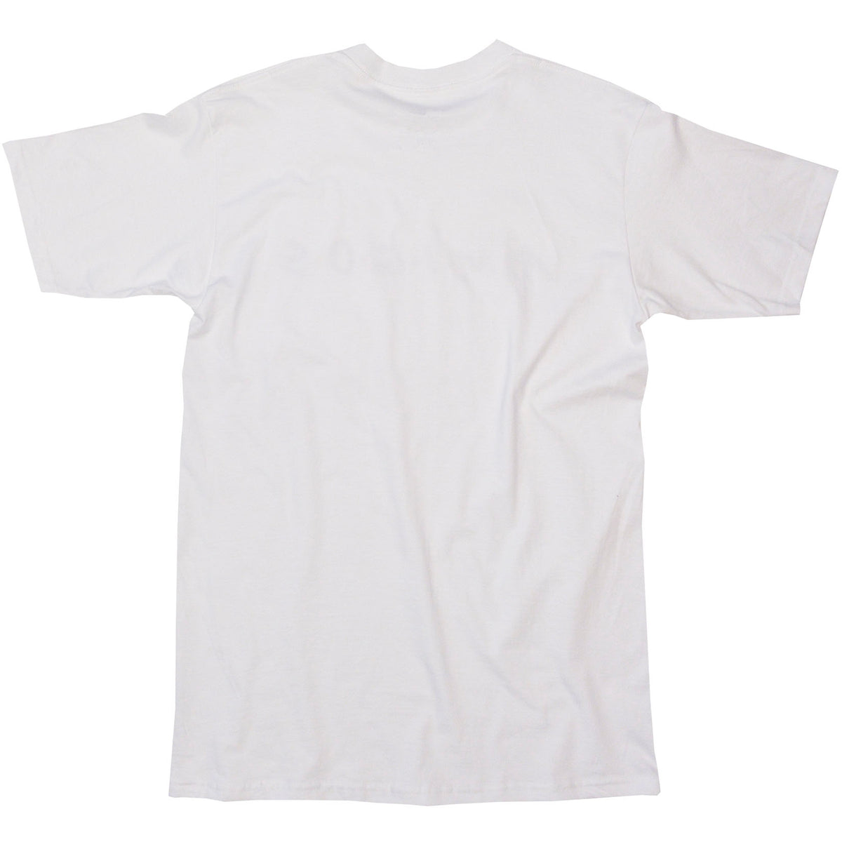 Glorious Earth's Natural Colorful beauty screen printed on a White Graphic Tee