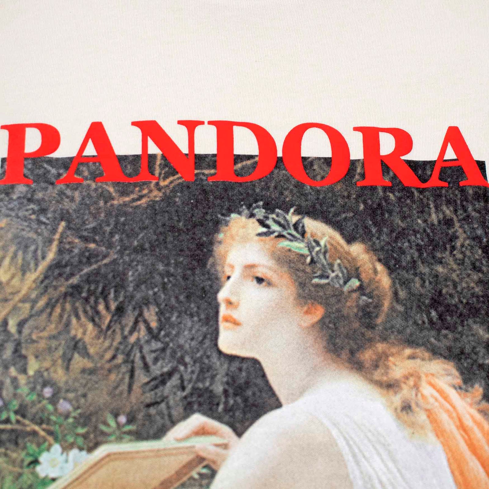 Full front photo closeup of puff ink Altru Apparel Classic Pandora painting myth story screen printed graphic on front chest of long sleeve tan shirt with 3D puff ink accents.