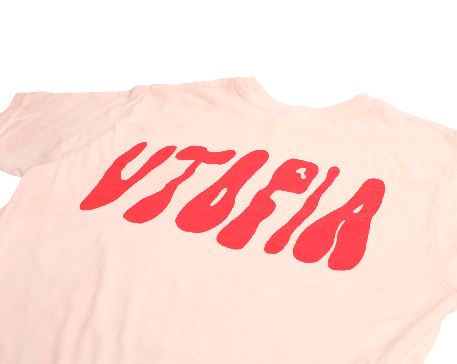 forbidden fruit utopia graphic tee back by altru apparel