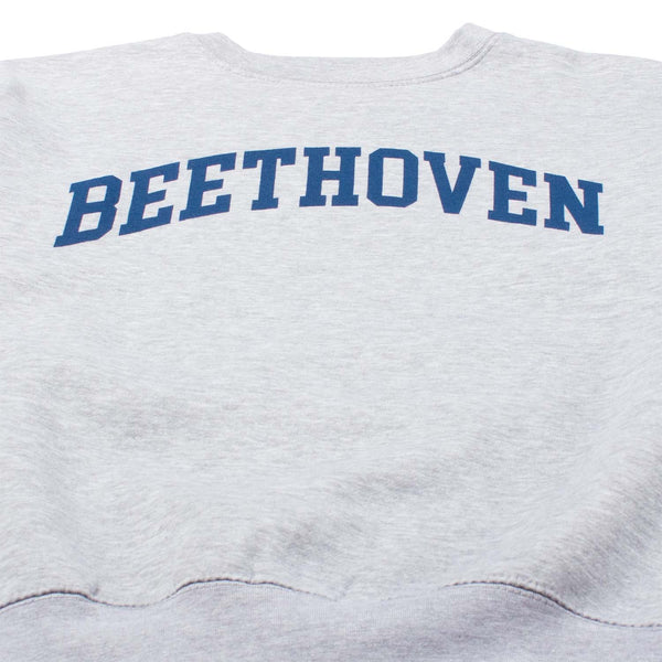 Altru Men's Beethoven Graphic Crewneck Sweatshirt Grey Altru Men's Beethoven Graphic Crewneck Sweatshirt Grey